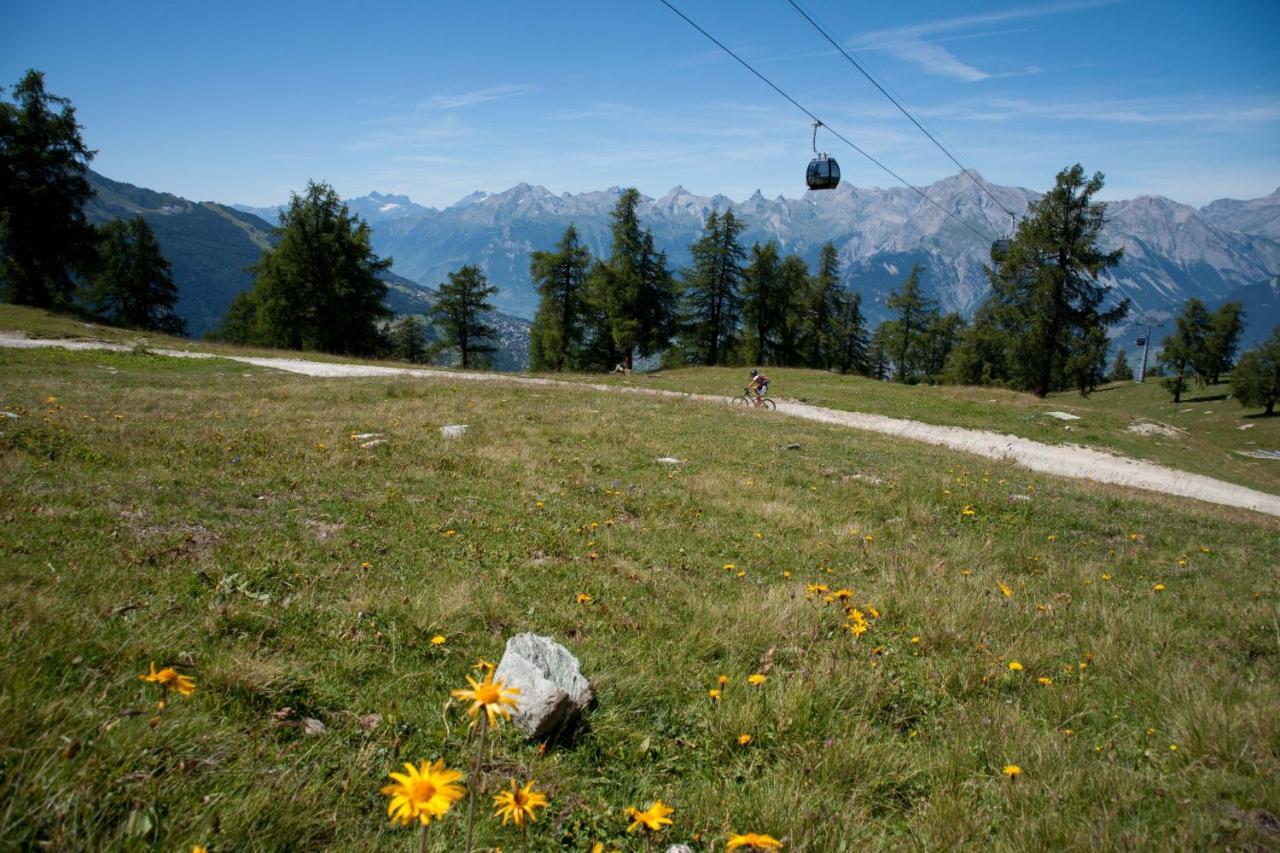 Balcons Du Soleil Sunny & Mountain Apartments By Alpvision Residences ヴェゾナ エクステリア 写真